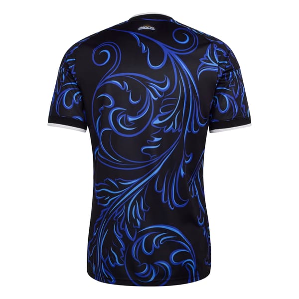 Argentina away kit back
