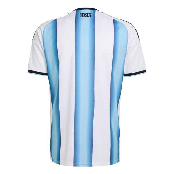 Argentina home kit back
