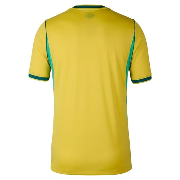Brazil home kit back