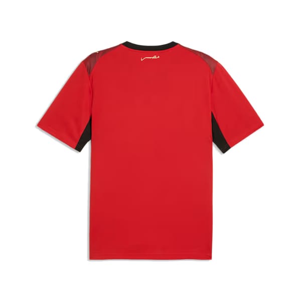 Egypt home kit back