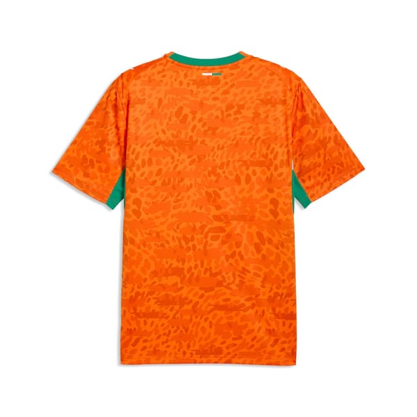 Ivory Coast home kit back