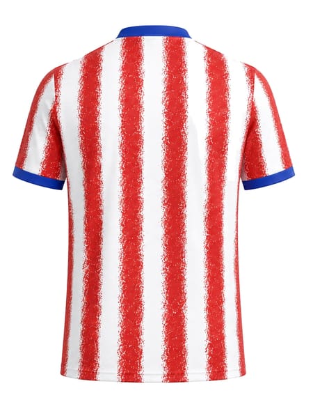 Paraguay home kit back