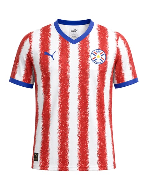 Paraguay home kit front
