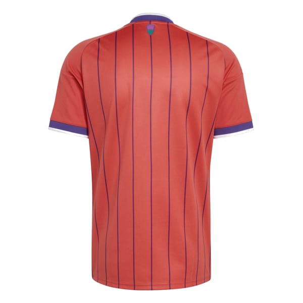 Scotland away kit back