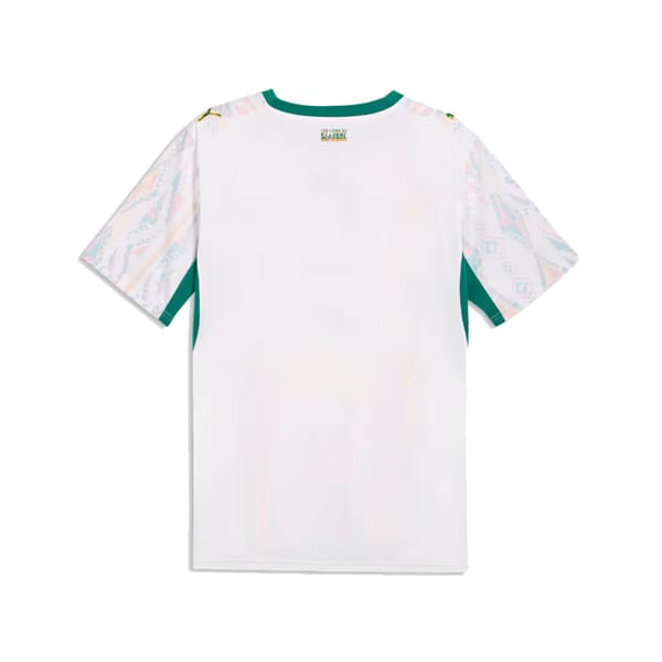 Senegal home kit back