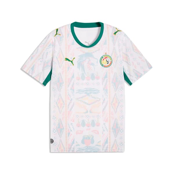 Senegal home kit front