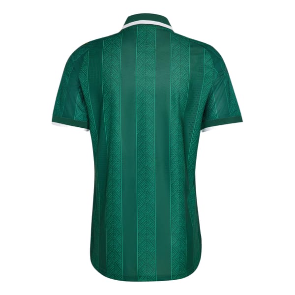 South Africa away kit back