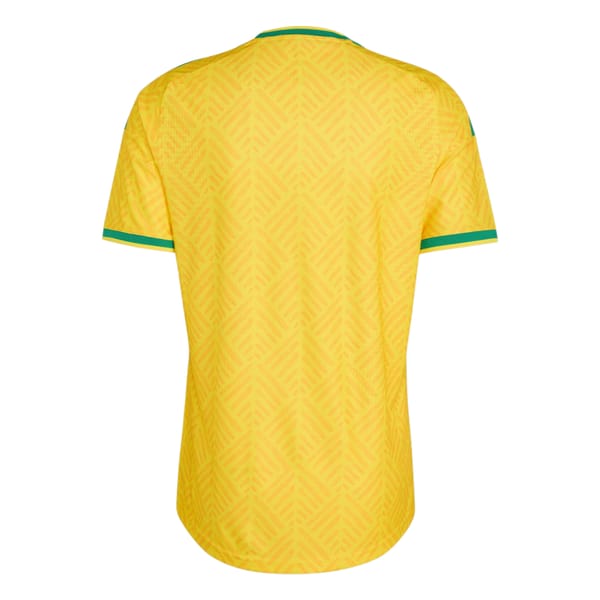 South Africa home kit back