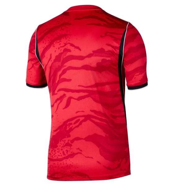 South Korea home kit back